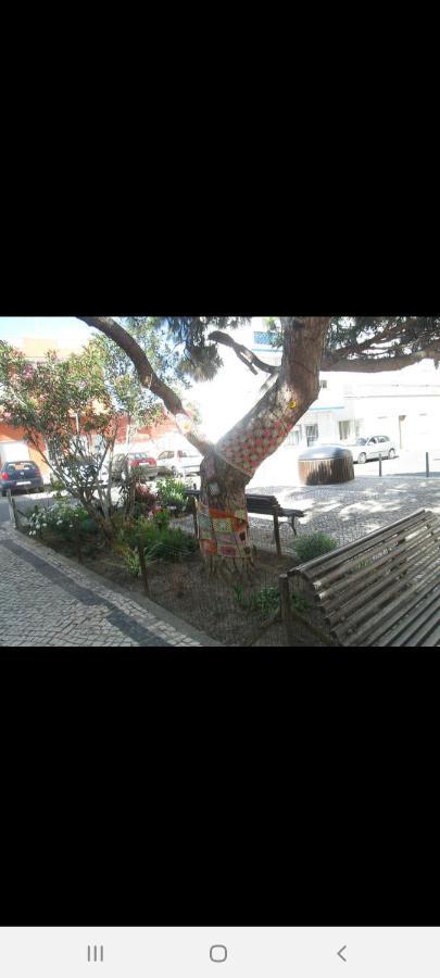 Guest House Pacifica Куартейра Екстериор снимка